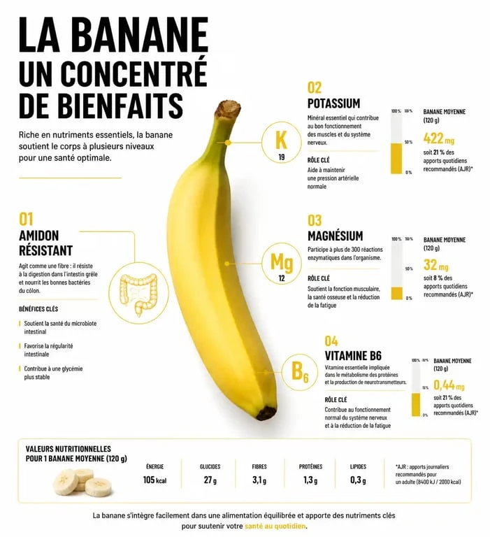 Infographie des bienfaits nutritionnels et effets du régime banane 3 jours sur le métabolisme